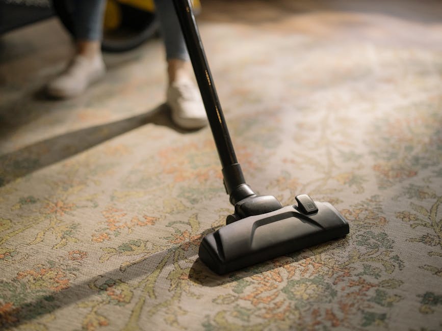 Clean living room carpet after professional cleaning